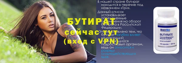 МДПВ Ельня