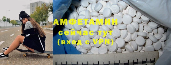 МДПВ Ельня