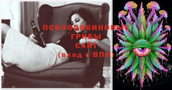винт Елабуга
