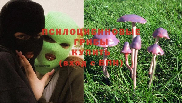 винт Елабуга