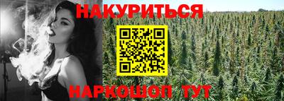 кокс Кингисепп