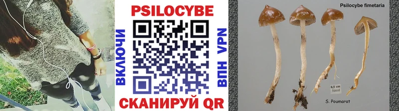 где найти наркотики  Камышлов  Псилоцибиновые грибы прущие грибы 