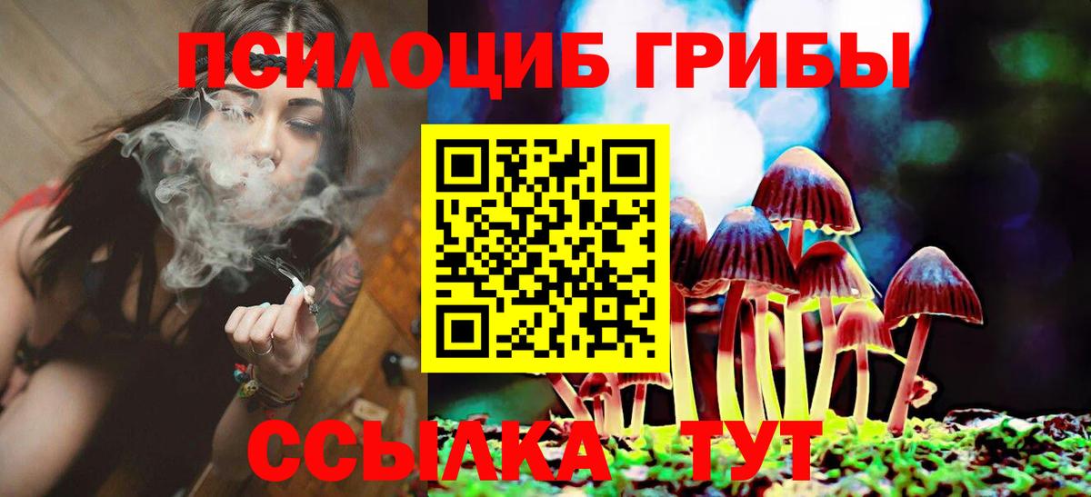Псилоцибиновые грибы Cubensis  Псилоцибиновые грибы Magic Shrooms  Вход с VPN  Камышлов 